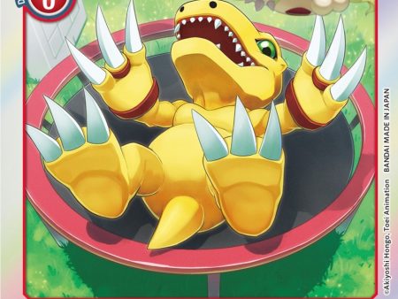 Agumon [ST7-02] (Official Tournament Pack Vol.8) [Starter Deck: Gallantmon Promos] Online now